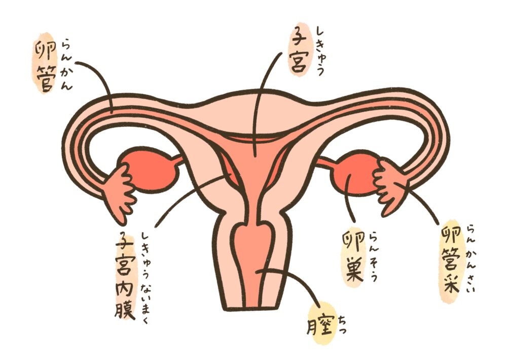 他嚢胞性卵巣症候群